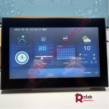 Màn hình HMI RS232/RS485 10.1inch TFT IPS DWIN, with case, 1024x600, Cảm ứng điện trở