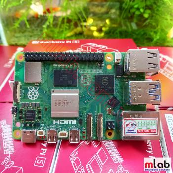 Raspberry Pi 5