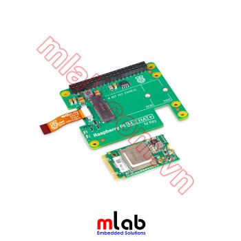 Raspberry Pi AI Kit